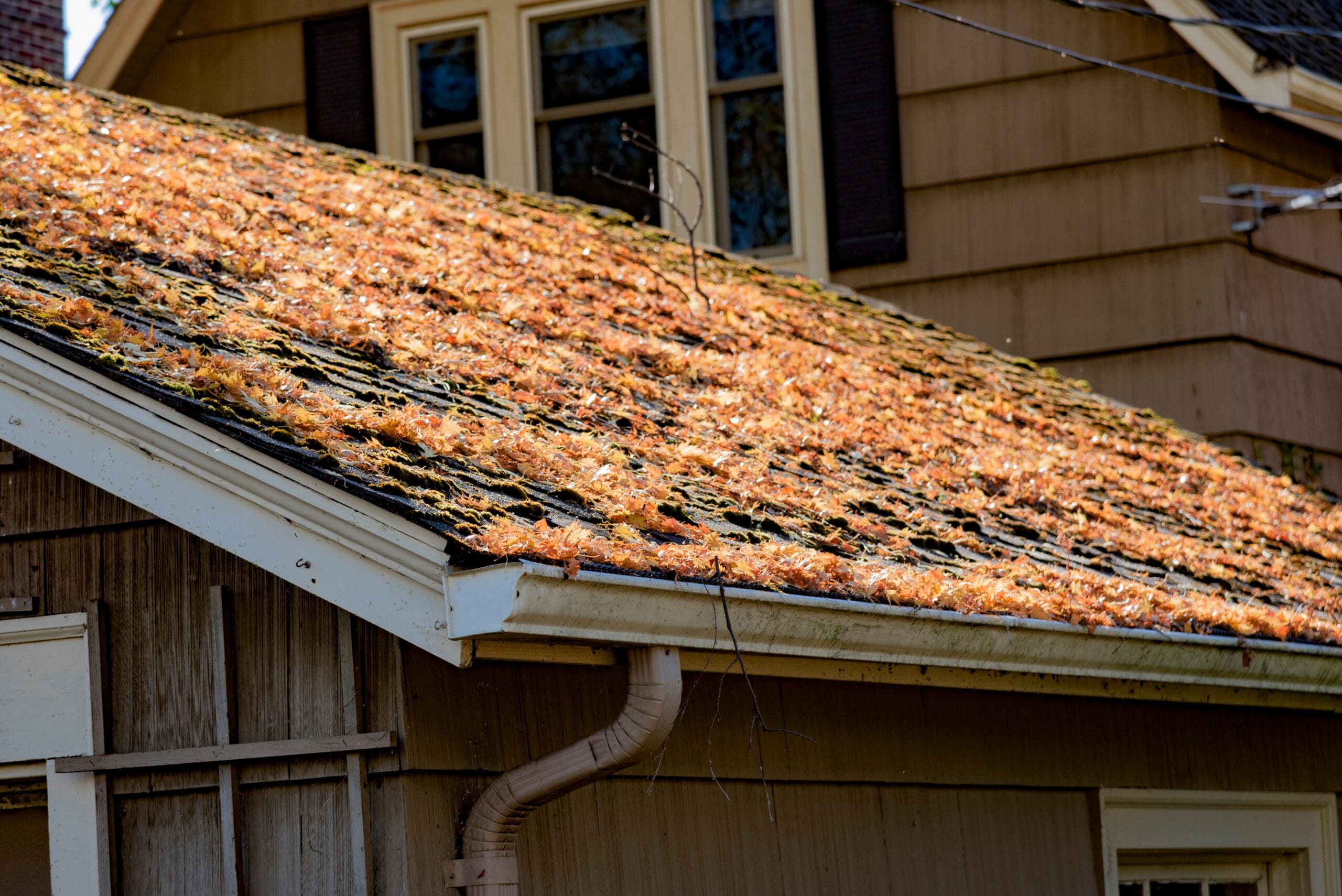 Roof covered in leaves and debris, highlighting spring maintenance challenges for Joliet homeowners.